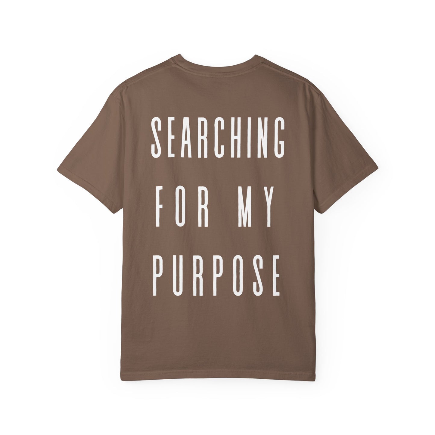 what's the meaning of life? t-shirt (comfort colors)