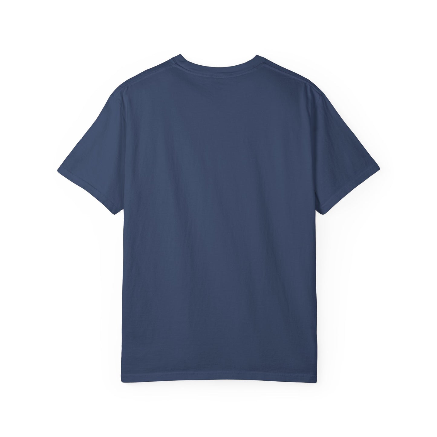 embrace the rain t-shirt (comfort colors)