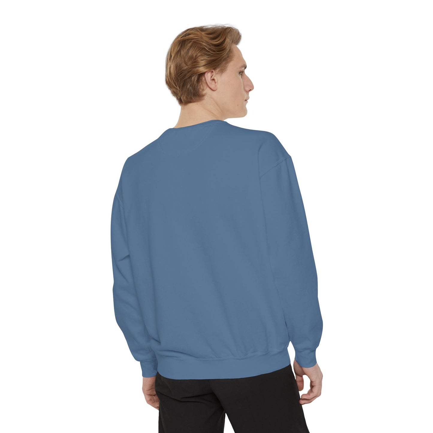 explore the unspoken crewneck sweatshirt (comfort colors)