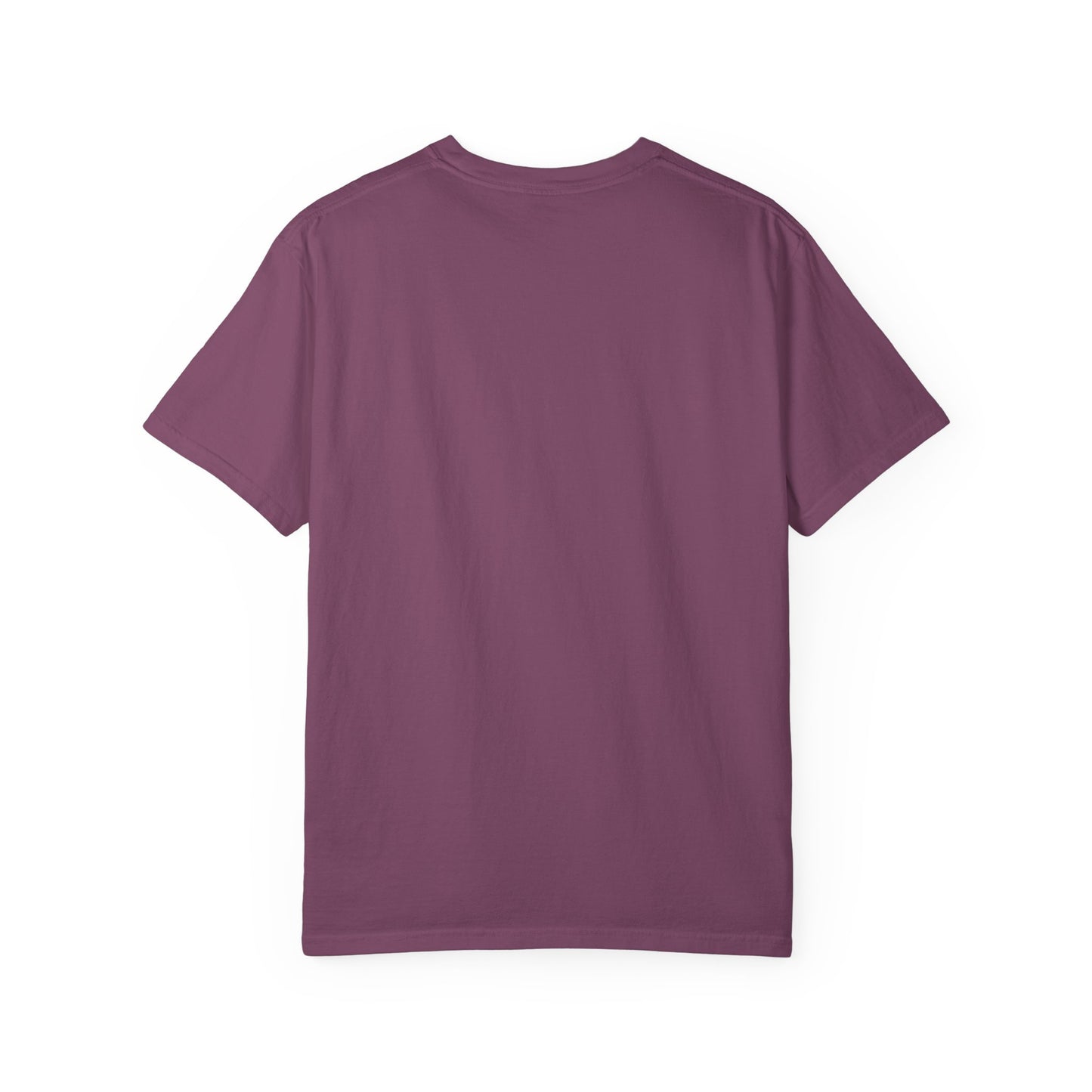 embrace the rain t-shirt (comfort colors)