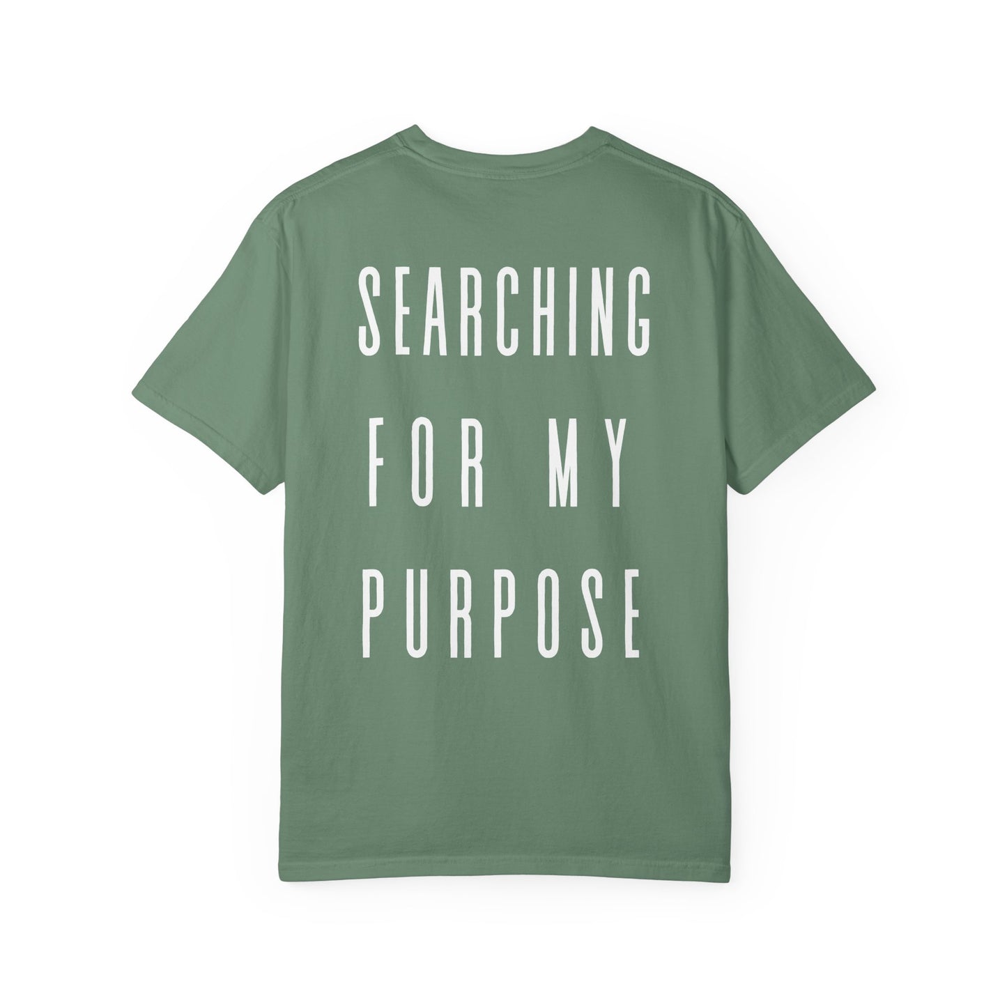 what's the meaning of life? t-shirt (comfort colors)