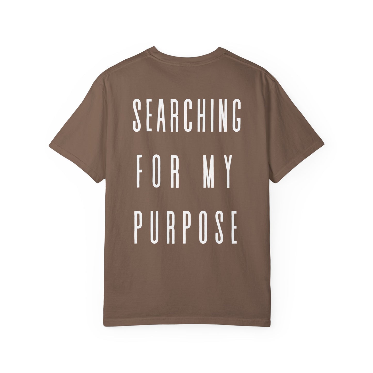 what's the meaning of life? t-shirt (comfort colors)