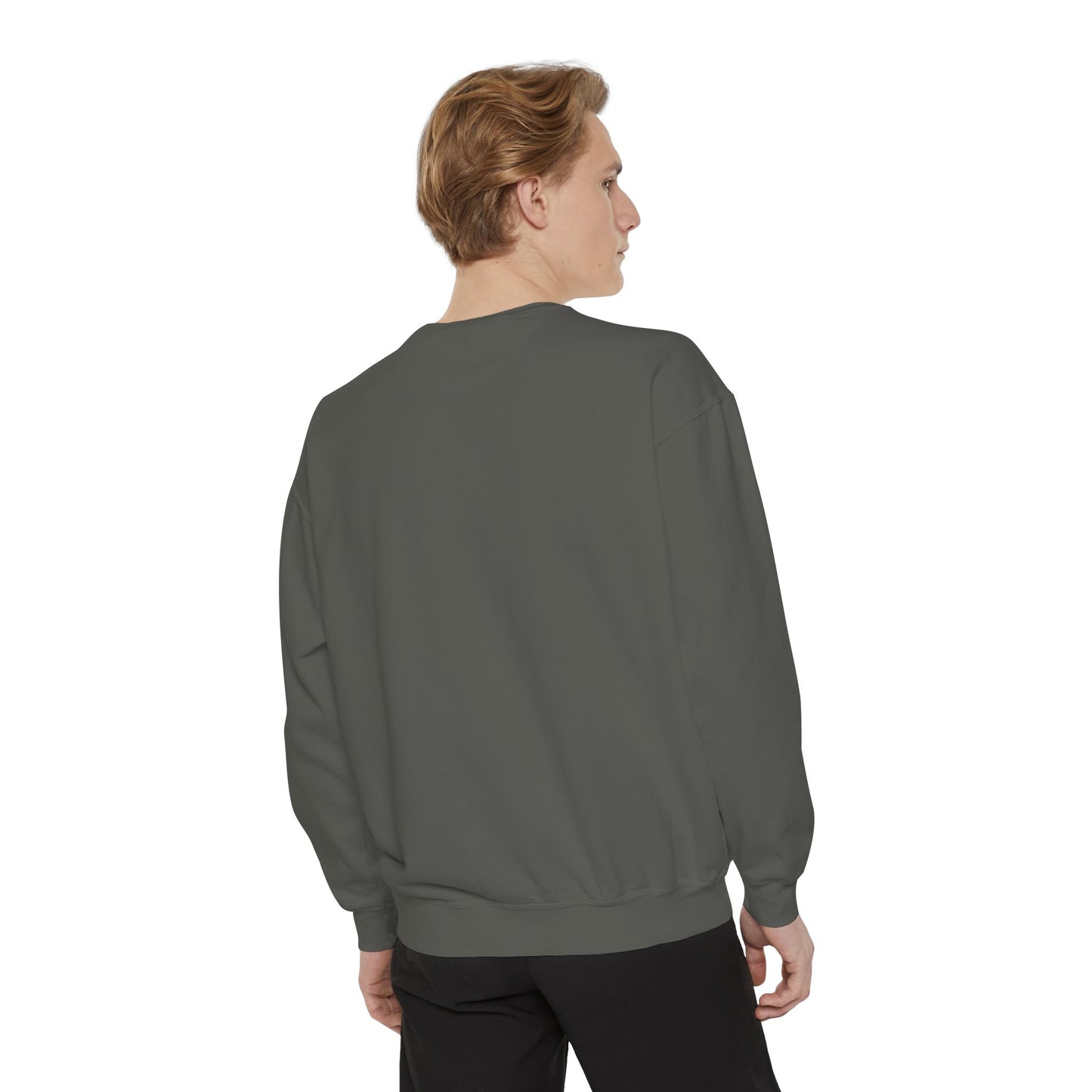 explore the unspoken crewneck sweatshirt (comfort colors)