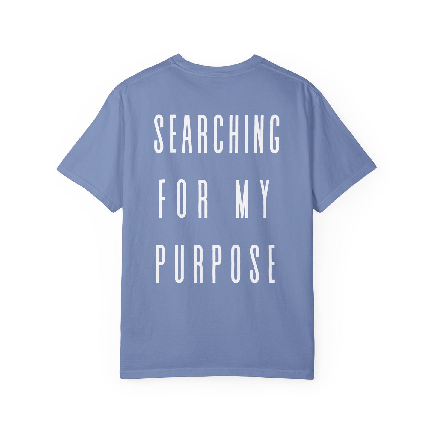 what's the meaning of life? t-shirt (comfort colors)